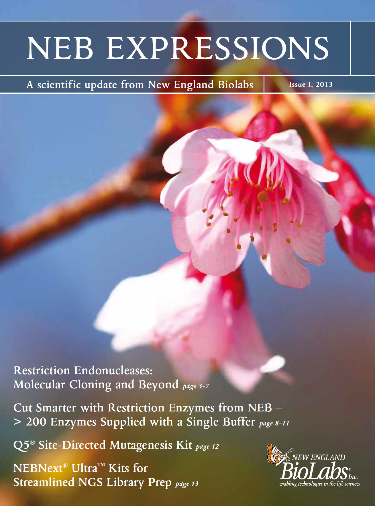 NEB Expressions Spring 2013